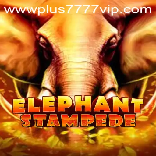 ElephantStampede and the Exciting World of Plus7777 VIP
