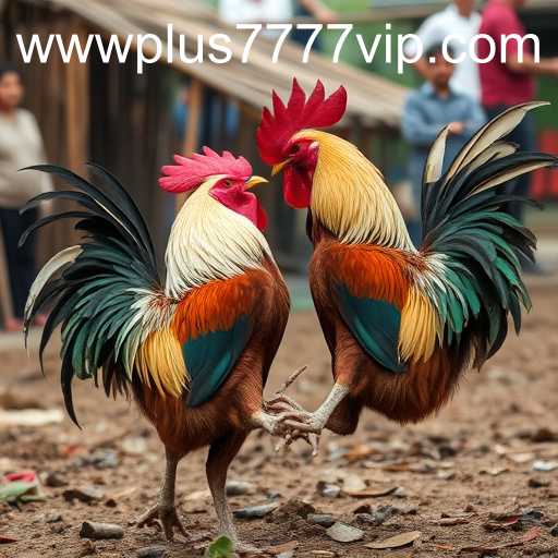 The Rise of Online Sabong: A Deep Dive into Digital Cockfighting